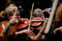 Saint-Saens' Carnival of the Animals; Mozart's Symphony no.41 'Jupiter' 